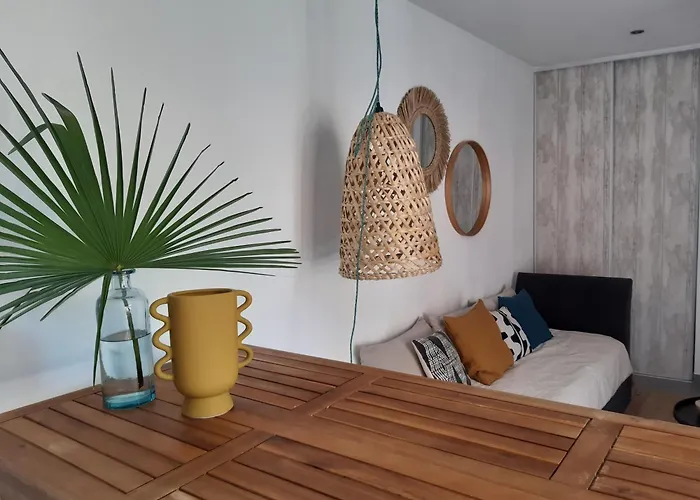 Grand Studio Avec Patio